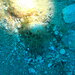 Cystoseira montagnei - Photo (c) jalaball, some rights reserved (CC BY-NC), uploaded by jalaball