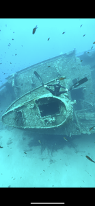 nerea